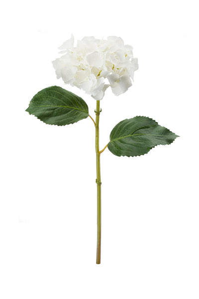 Hydrangea Stem White