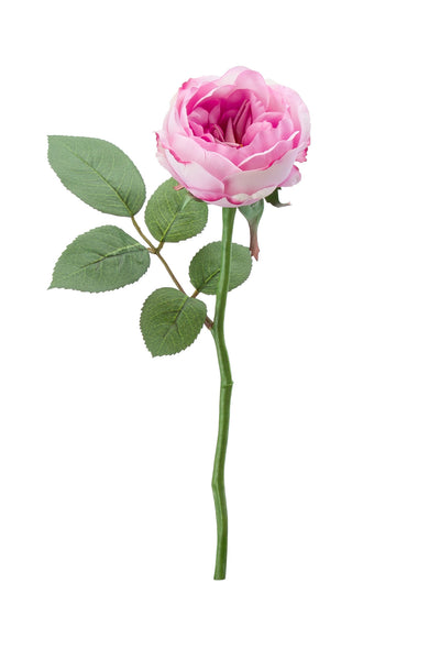 Rose Full Bloom Stem Pink