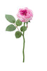 Rose Full Bloom Stem Pink